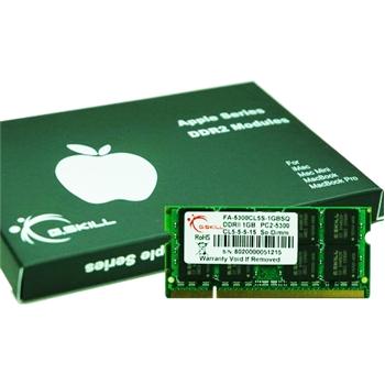 G-Skill - FA-5300CL5S-2GBSQ - התמונה להמחשה בלבד