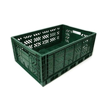 Ay-Kasa - MiniBox-OliveGreen - התמונה להמחשה בלבד