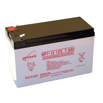 Enersys - NP7-12 - התמונה להמחשה בלבד
