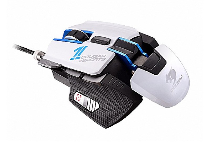 Cougar - 700MeSPORTS - התמונה להמחשה בלבד