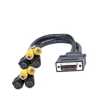 Matrox - CAB-KX20-QTVF - התמונה להמחשה בלבד