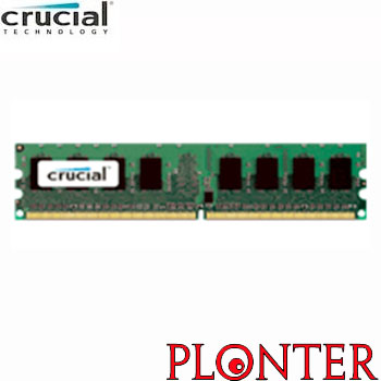 Crucial - CT25672AA80EA - התמונה להמחשה בלבד