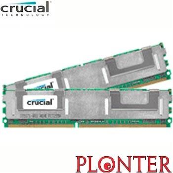 Crucial - CT553022 - התמונה להמחשה בלבד