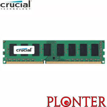 Crucial - CT8G3ERSDD8186D - התמונה להמחשה בלבד