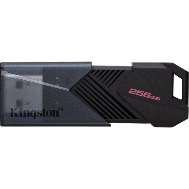 Kingston - DTXON-256GB -   