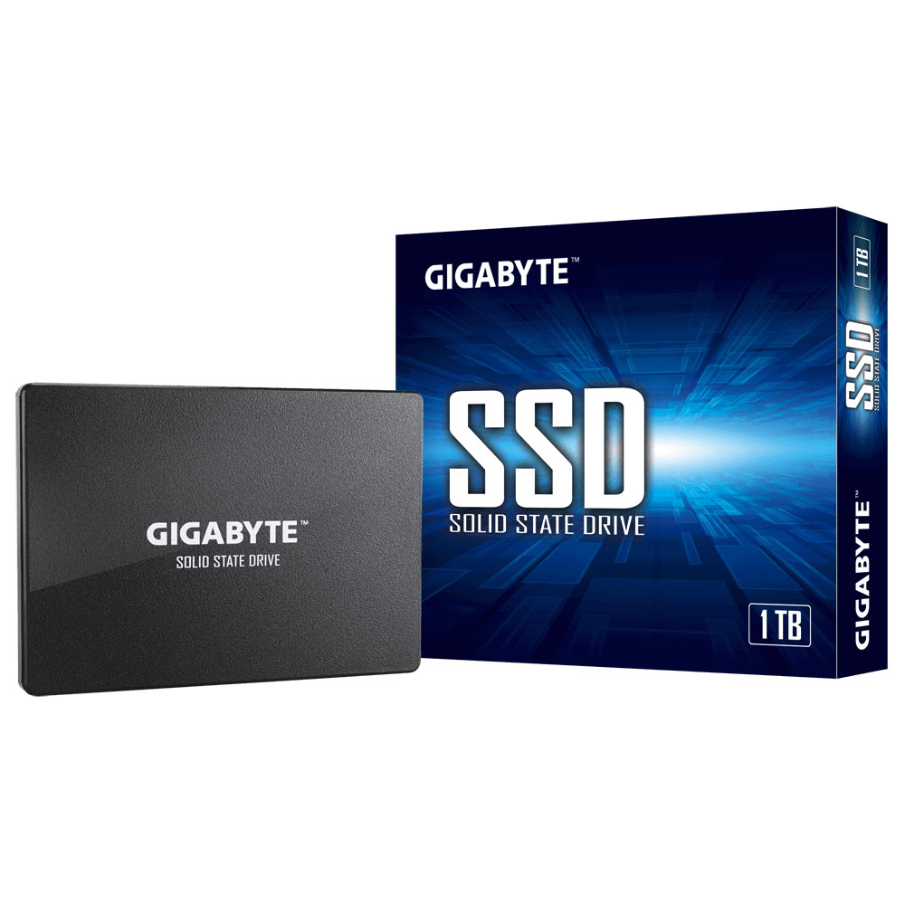 Gigabyte - GP-GSTFS31100TNTD - התמונה להמחשה בלבד
