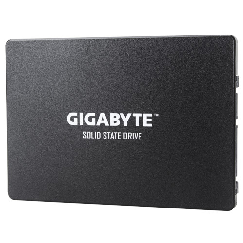 Gigabyte - GP-GSTFS31256GTND - התמונה להמחשה בלבד