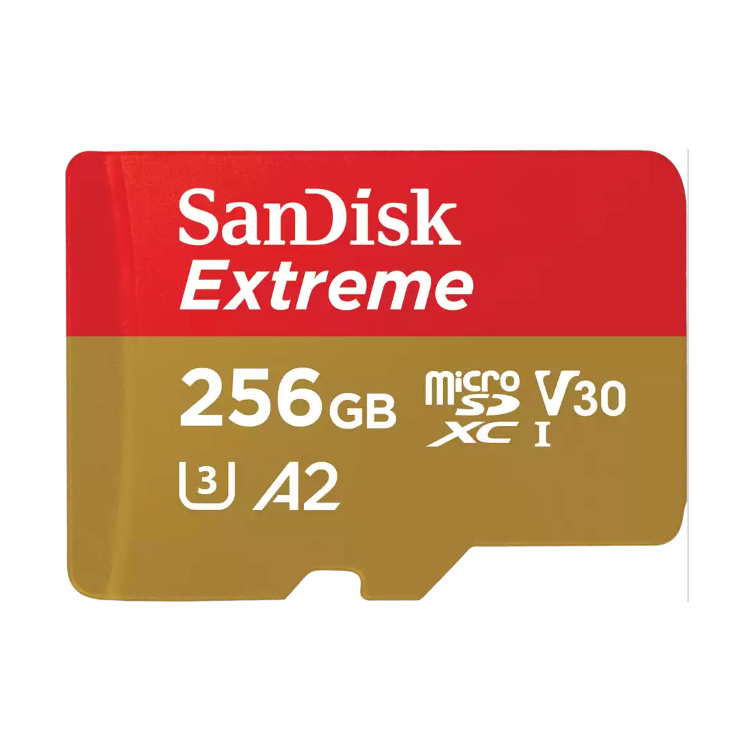 SANDISK - SDSQXAV-256G-GN6MN -   