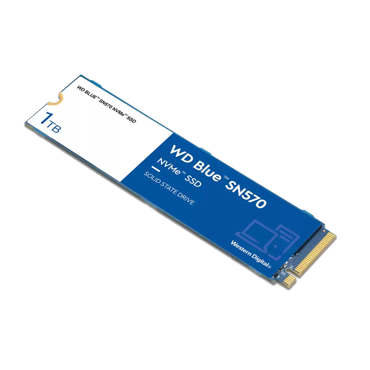 Western Digital - WDS100T3B0C - התמונה להמחשה בלבד